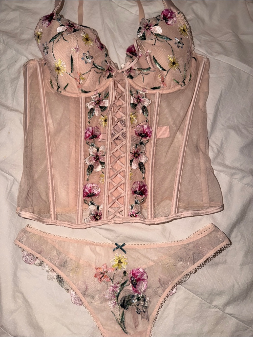 Victoria's Secret Blush Pink Floral Embroidered Bustier & Brief Set